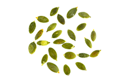 bread_transparent_04 https://delices-creteil.fr/wp-content/uploads/2017/07/bread_transparent_04.png
