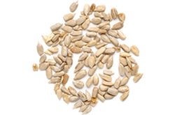 bread_transparent_06 https://delices-creteil.fr/wp-content/uploads/2017/07/bread_transparent_06.png