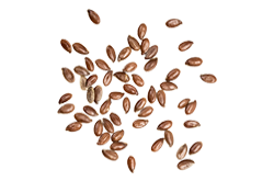 bread_transparent_07 https://delices-creteil.fr/wp-content/uploads/2017/07/bread_transparent_07.png